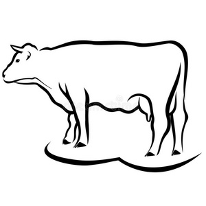 素描切曲线图片-素描切曲线素材-素描切曲线插画-摄图新视界