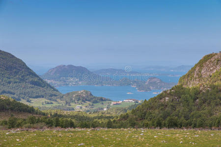 峡湾草地和羊