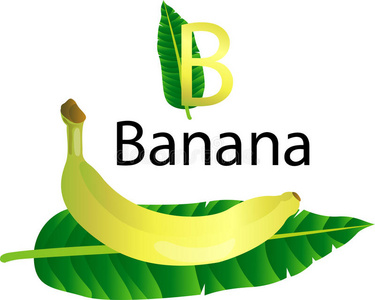 带香蕉的illustrator b字体