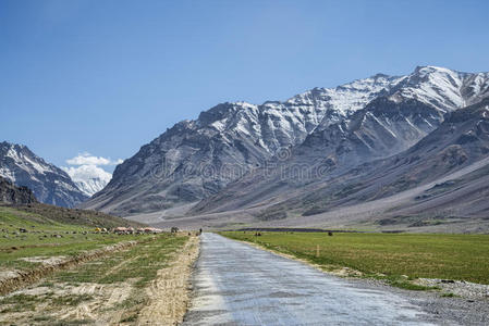 雪峰间的山路