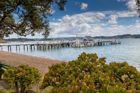 新西兰岛屿湾派希亚附近的罗素景观