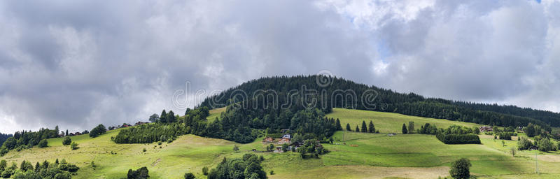 夏季高山全景，阳光明媚的草甸森林和房屋