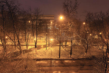 公园里的夜晚雪黄色