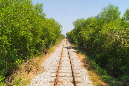沿途绿树成荫的铁路直道