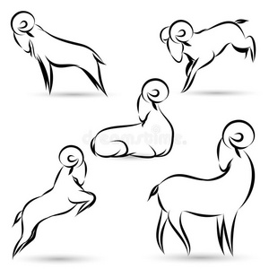 印度黑山羊女人在草丛中的黑山羊黑山羊黑山羊在白色上分离黑山羊手绘