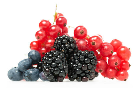 新鲜蓝莓，黑莓和红醋栗