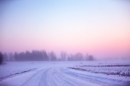 下雪的冬天道路。冬季有雾的早晨