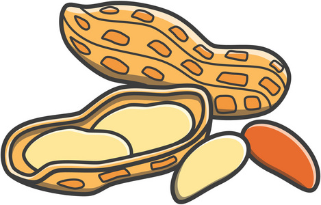 水彩花生图片-水彩花生素材-水彩花生插画-摄图新视界