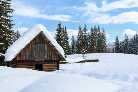 舒适的冬天场景与雪覆盖在山的树