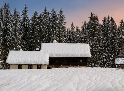 舒适的冬天场景与白雪覆盖的树木，在山中