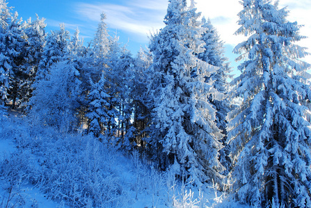 神话般的冬季雪山景观