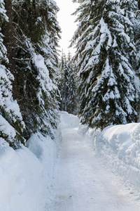 在山上白雪皑皑的冬季道路