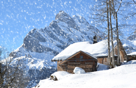 Braunwald，瑞士在冬天