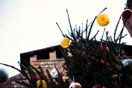 装饰圣诞树在街道上与球