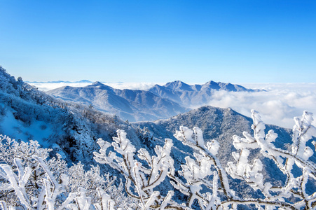 在冬天，韩国被晨雾覆盖 Seoraksan 山