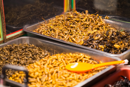 油炸昆虫像虫子 蝗虫 幼虫 毛虫和蝎子销作为食品街上芭堤雅，泰国