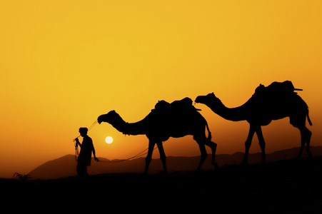 沙卡剪影图片-沙卡剪影素材-沙卡剪影插画-摄图新视界