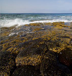 海滩轻水兰萨罗特岛泡沫