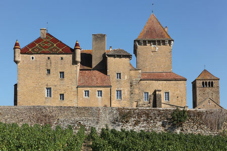 在勃艮第，法国的 Pierreclos 城堡
