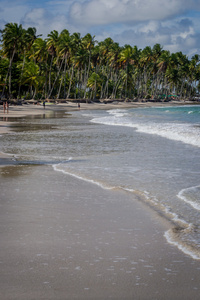 Carneiros 海滩，Tamandare伯南布哥