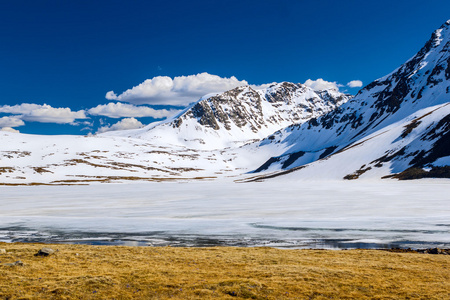 阿尔泰山 雪 云 谷