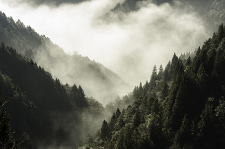 高山在云雾中