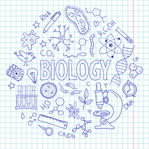 手绘矢量集与学校设备。可用于设计。生物课