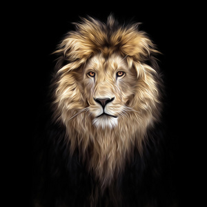 美丽的狮子的肖像