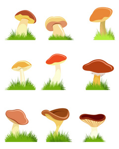 九个蘑菇套