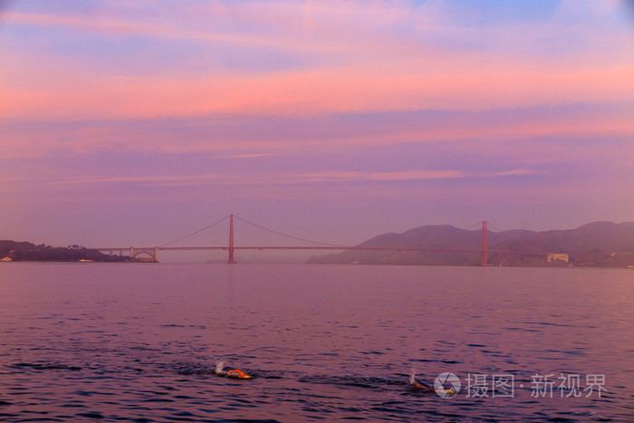 人们在 San Francisco 湾里游泳