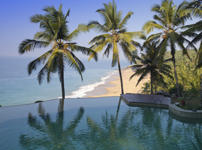 棕榈树反映在游泳池和背景海洋。印度