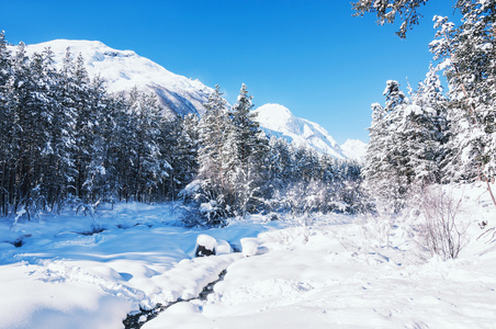 冬季森林和山后降雪