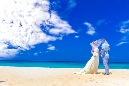 幸福的新娘和新郎在婚礼当天，户外海滩婚礼中 t
