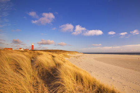 在清晨的阳光在荷兰 Texel 岛上的灯塔