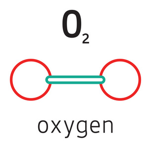 O2 氧分子