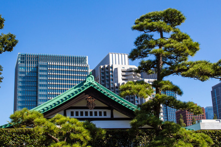 在东京，日本帝国宫东花园