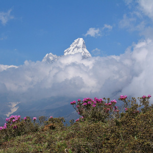 喜马拉雅山的春天场景