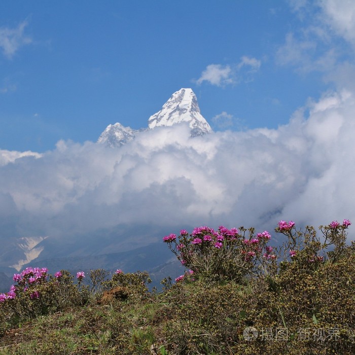 喜马拉雅山的春天场景