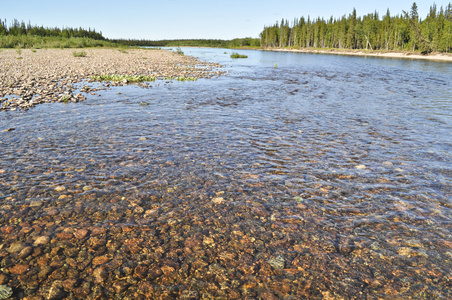 鹅卵石河床照片