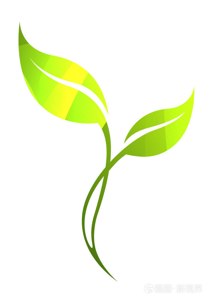 矢量绿色春天叶上白色孤立.颜色生态图标
