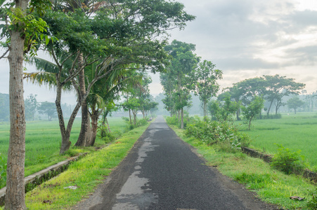 农村公路数