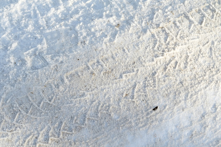 白雪皑皑的冬天风景