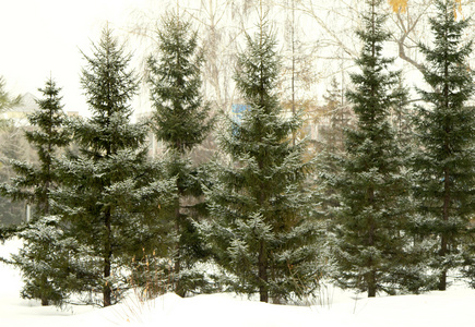 白雪皑皑的冬天风景