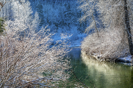 冬天叶雪冰韦纳奇河华盛顿图片