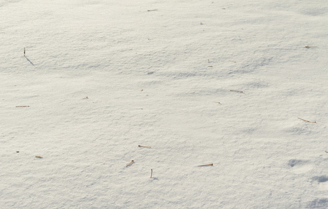 白雪皑皑的冬天风景