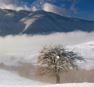 冬季喀尔巴阡山