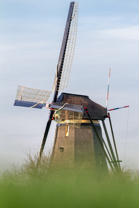 在荷兰风车村