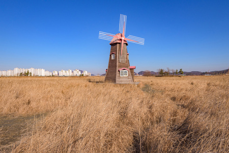 老木风车公园 韩国中的字段照片 正版商用图片1lh0z2 摄图新视界
