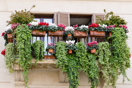 用鲜花，旧的风格，意大利传统阳台