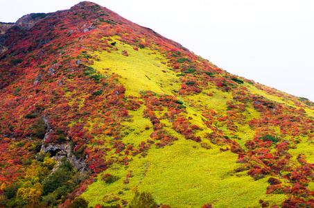 日本秋季 Mt.Nasu,tochigi,tourism